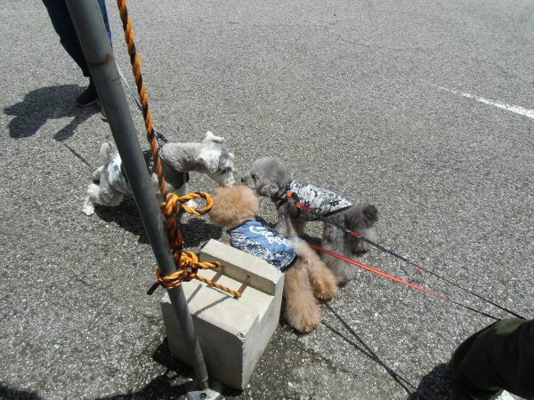 さいたまキャンピングカー商談会の写真10